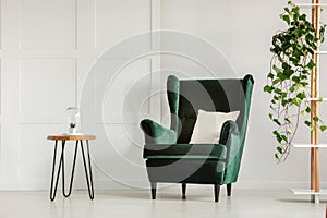 White pillow on emerald green armchair in contemporary living room interior with wooden coffee table and ivy in pot on shelf