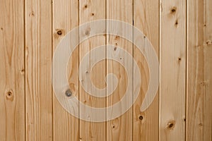 White pine wood surface. Grain timber texture background. Wood texture background, oak wood wall fence. Light wood plank texture b