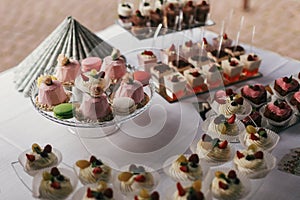 White and pink desserts with fruits and crem,  cupcakes on stand, modern sweet table at wedding or baby shower. Luxury catering