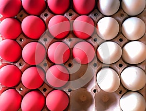 White and pink eggs for food, Chicken eggs provide many nutrients and strengthen the body.