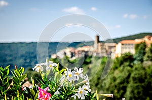 White and pink flowers on the background of the town of Nemi, located on a cliff. The surroundings of Rome. Italy.