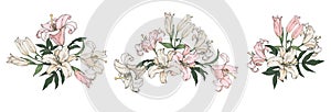 White and pink lilies, flower arrangements set