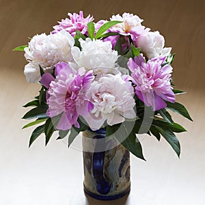 White and pink peonies.