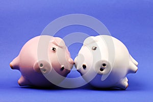 White and pink piggies bank recumbent on blue background photo