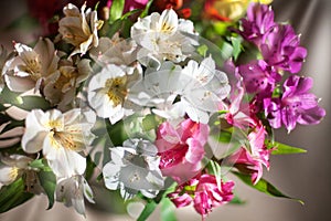 White, pink and purple lily flowers on blurred background closeup, soft focus lilies flower arrangement