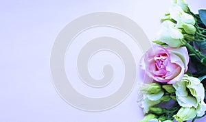 White and pink roses in a delicate bouquet on a light background. Festive flower arrangement.