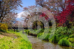 Oshino Hakkai village with sakura and Mt. Fuji