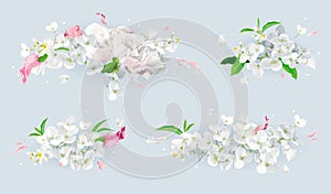 White and pink summer flowers bouquet set