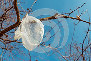 White plastic bag on tree