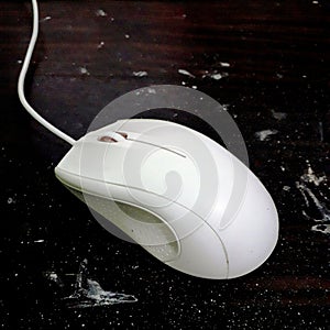 This white plastic computer mouse on a table