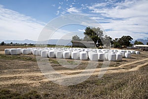 White plastic covered bales on a farm