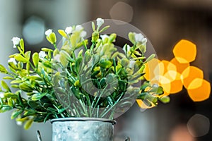 White plastic flowers in a pot with pentagon bokeh