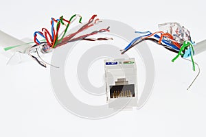 White plastic network RJ45 UTP female socket is chased by two UTP/STP cable wires that looks like tentacles of a monster,