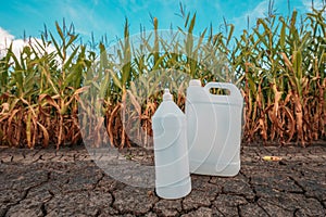 White plastic pesticide chemical jug in cornfield