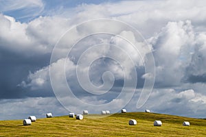 White plastic silage wrapped bales with hay on green grass hill in Iceland
