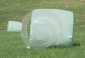The white plastic wrapped round hay bales (silage) on the green