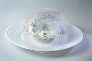 On a white plate with cottage cheese is spoiled cottage cheese. It shows green and gray mould