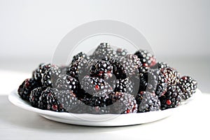 White plate of fresh ripe juicy shiny blackberries, close-up