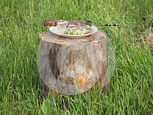 White plate with fresh vegetables, potatoes, fried meat and a shot of vodka standing on the old tree stump