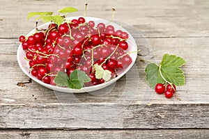 White plate with full red currant on wooden old background, green garden background on blur.