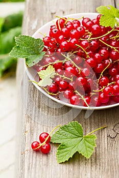 White plate with full red currant on wooden old background, green garden background on blur.