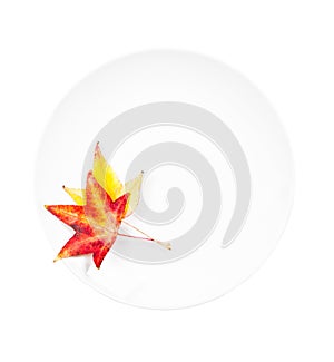 White plate with leaves