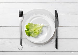 White plate with lettuce, vegeterian, topview