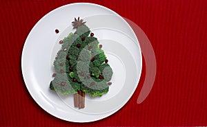 White plate on red table, broccoli tree, Christmas background, horizonta, no people,