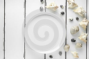 White plate with seashells on white wooding background, wallpaper top view