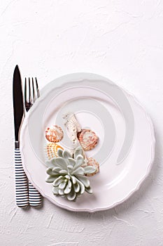 White plate, shells, cutlery, coral, succulent echeveria on whit