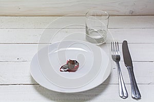 White plate with a small chocolate Easter egg in open red foil,