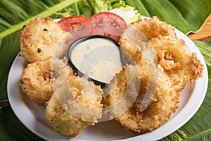 white plate with sqid rings and onion rings with dipping sauce with green background