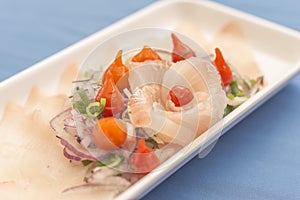 White plate with white fish sashimi on blue background