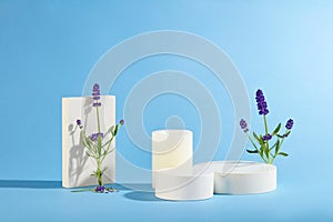 The white platforms and lavender stand out against the blue background. Lavender is known for its colorful color and attractive