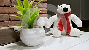 White plush bear with red scarf and green succulent plant in the pot, room decor