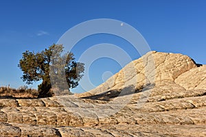 White Pocket, Paria Canyon-Vermilion Cliffs photo