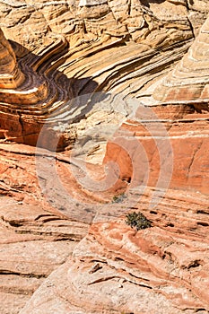 White Pocket Rock Striations