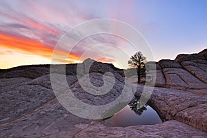 White Pocket sunrise, Paria Canyon-Vermilion Cliffs photo