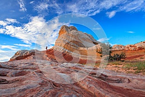 White Pocket, Vermilion Cliffs National Monument, Arizona, USA photo