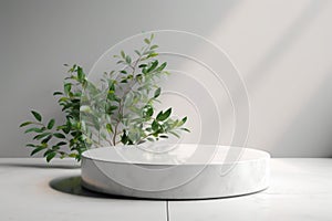 White podium display for product advertising. cosmetic product stand with green leafes decoration. abstract minimal advertise.