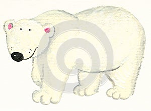 White Polar bear