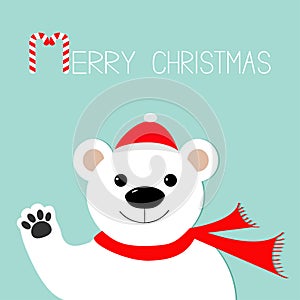 White polar bear in santa claus hat and scarf, paw. Candy cane. Merry Christmas Greeting Card. Blue background. Flat design