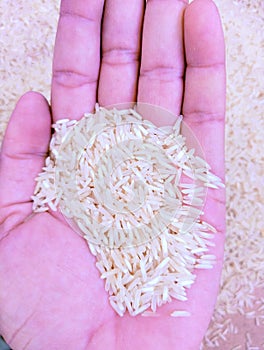 White polished rice cereal grains raw whole-rice hulled milled-rice staple food kacha chawal  closeup arroz poli photo