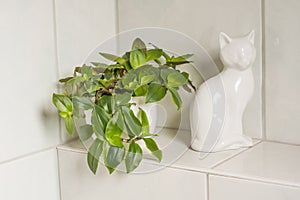 White porcelain cat and a potted plant