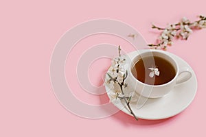 White porcelain cup with black tea. Branches of a blossoming apple tree lie on a gentle pink background. Spring concept. Copy
