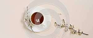 White porcelain cup with black tea and marshmallows. Branches of a blossoming apple tree lie on a beige background. Spring concept