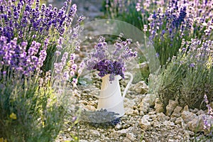 White pot with lavender.