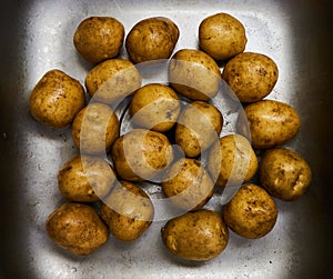 White Potatoes in the sink 2