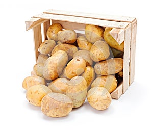 White potatoes in wooden crate