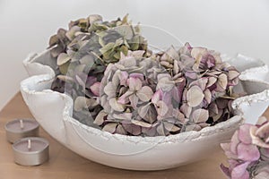 White pottery bowl with dried purple hydrangea flowers on wooden shelf